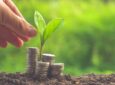 Можно ли доверять Finsa Investment Limited: как проверить надежность брокера? Можно ли доверять Finsa Investment Limited: как проверить надежность брокера?